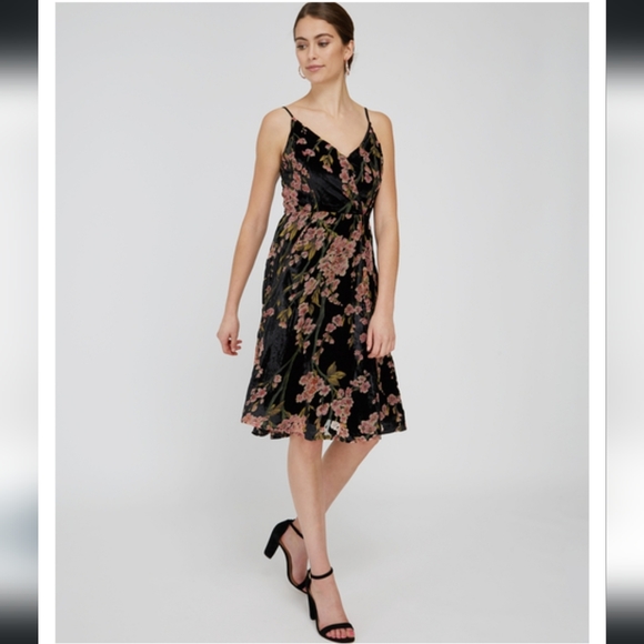 NWT Dex XS Velvet Burnout Dress, wrap style, midi length, with floral design - Picture 4 of 14